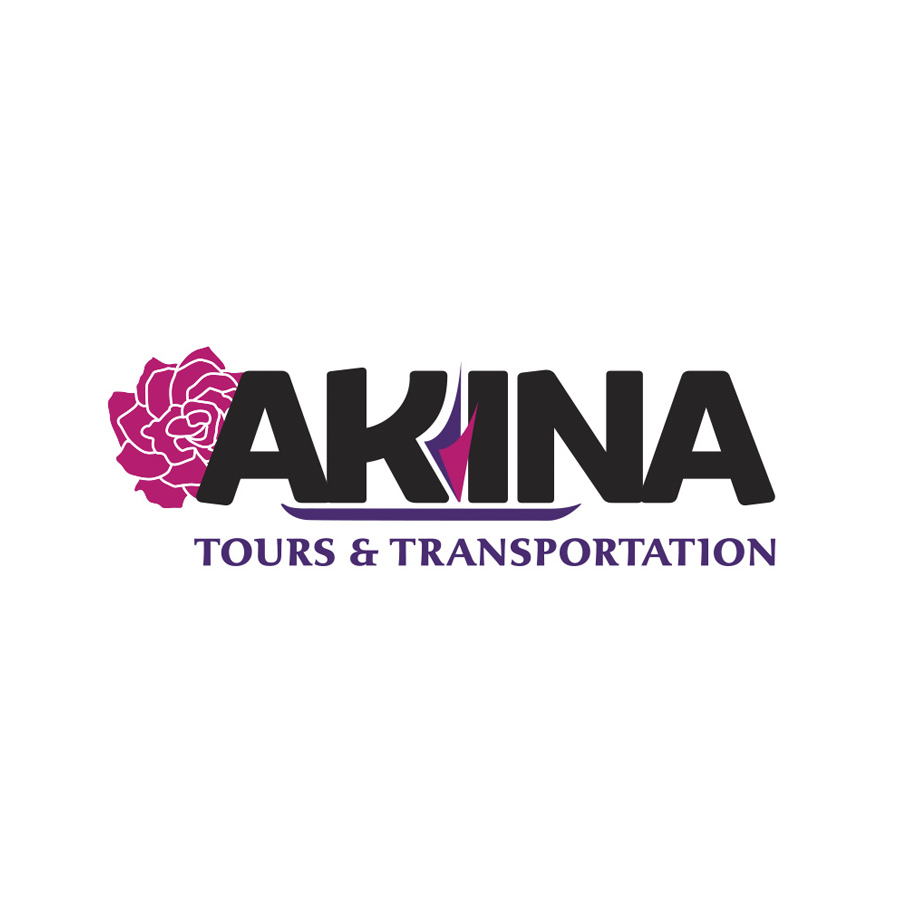 Akina Logo Design