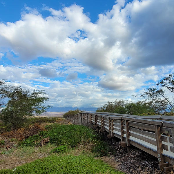 Keālia Pond National Wildlife Refuge