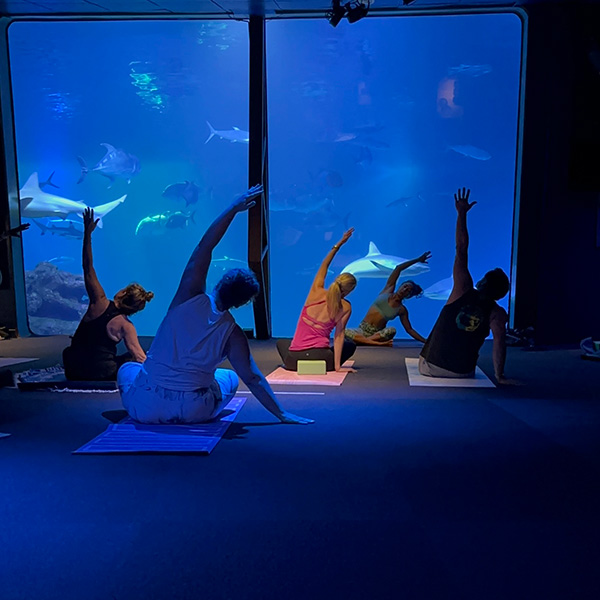 Aquari-OM Yoga at Maui Ocean Center