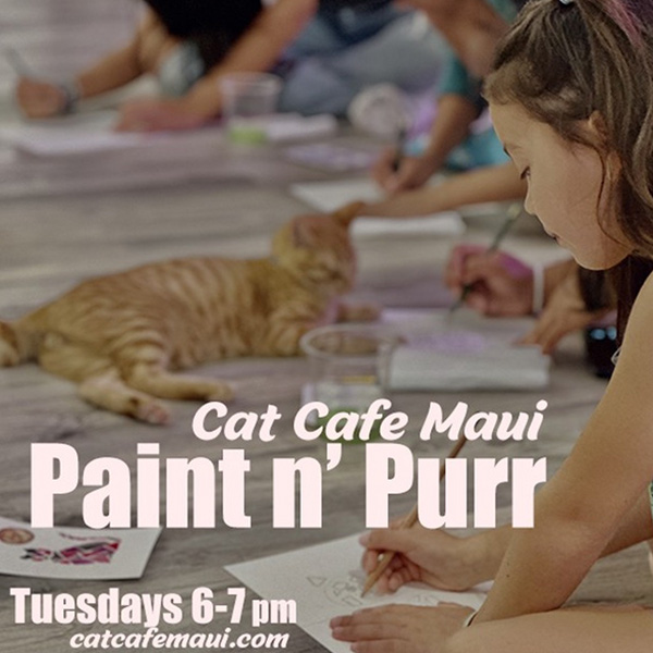 Cat Cafe Maui - Paint-n-Purr