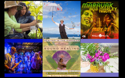 Maui’s Top 10 Things To Do May 22, 2024 – May 29, 2024