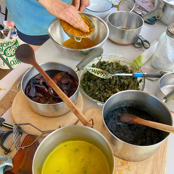 Native Plant Dyes with Lisa & Kale'a