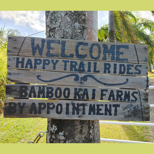 Happy Trail Rides at Bamboo Kai Farms