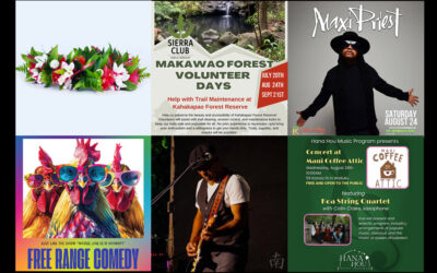 Maui’s Top 10 Things To Do Aug 21, 2024 – Aug 28, 2024