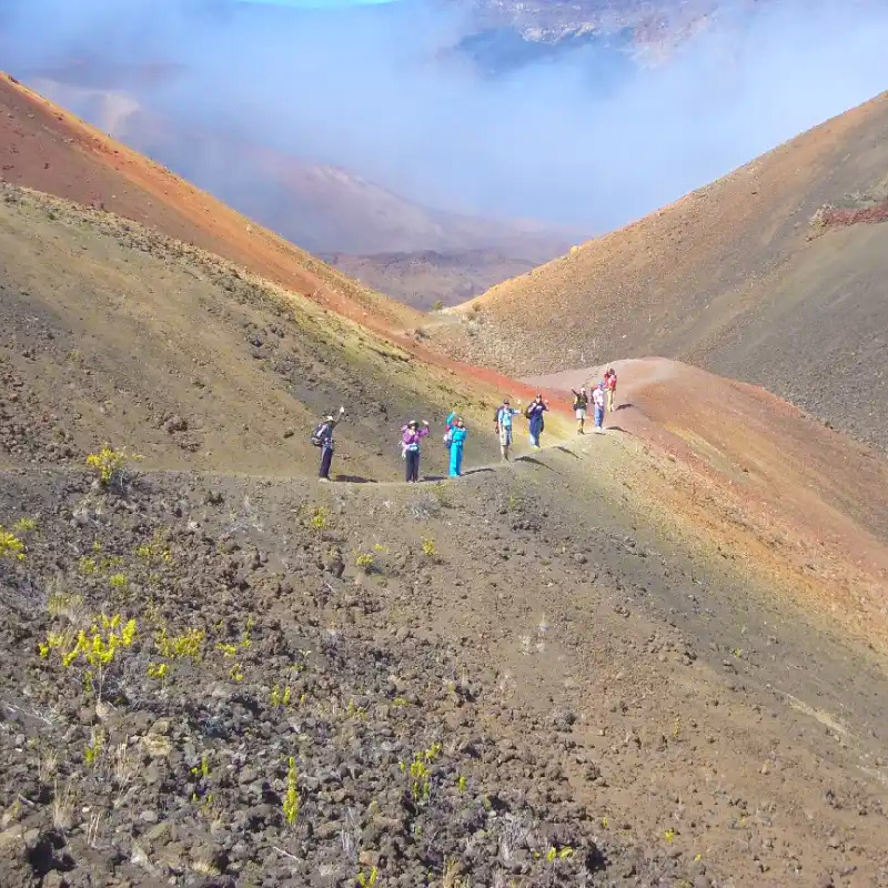 Friends of Haleakalā National Park