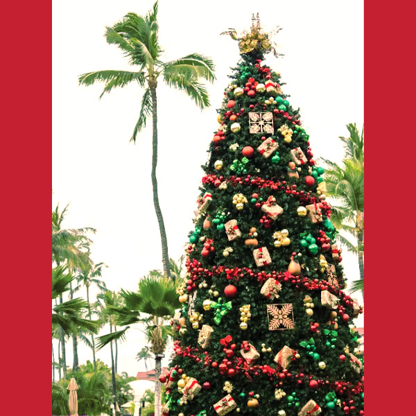 Annual Tree Lighting Ceremony - Fairmont Kea Lani