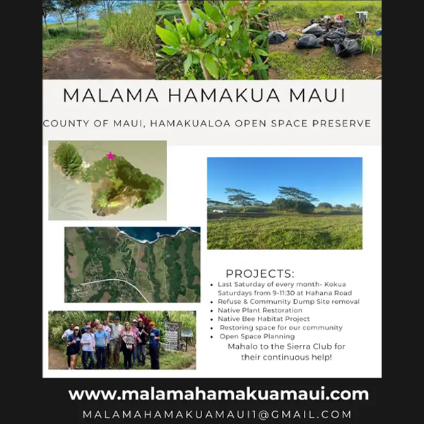 Malama Hamakua Maui - Community Planting Event