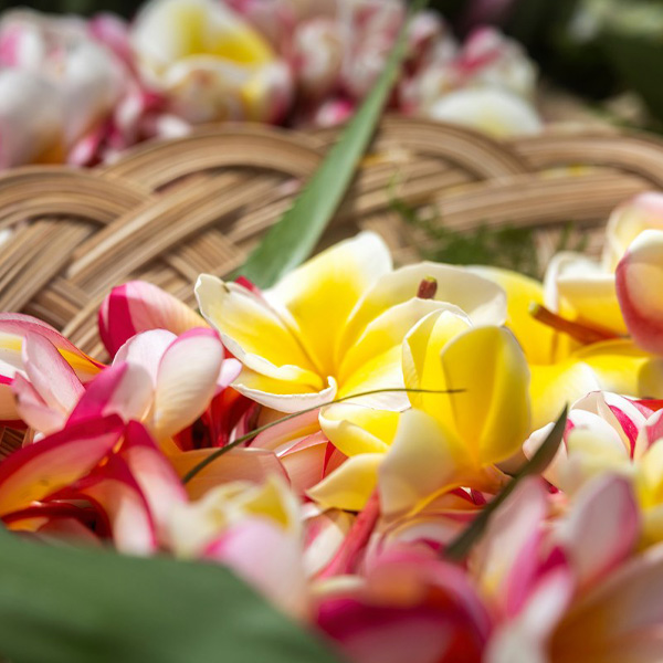 Lei Po'o (Head Lei) Workshop - Maui Farm Events and Lei Maui