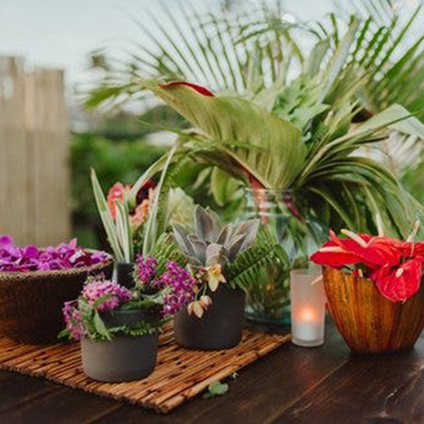 Lei Po'o Making - The Shops at Wailea