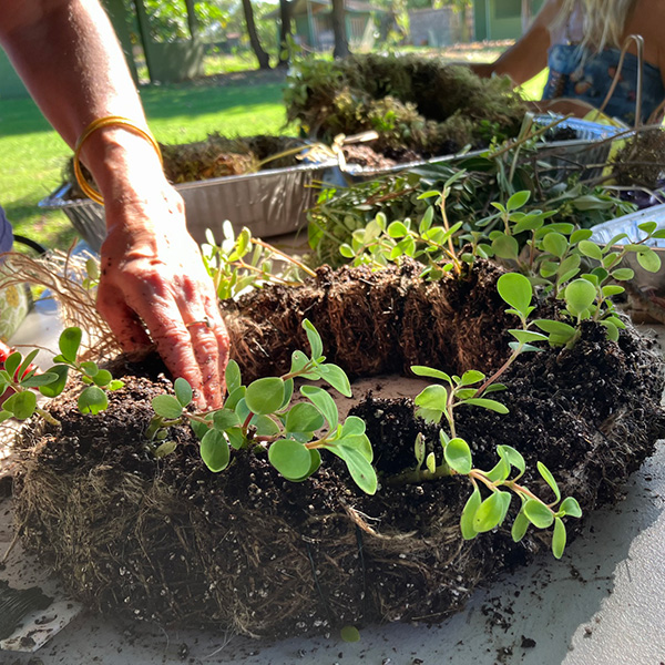 Wreath Making with Native Plants Workshop - Maui Nui Botanical Gardens