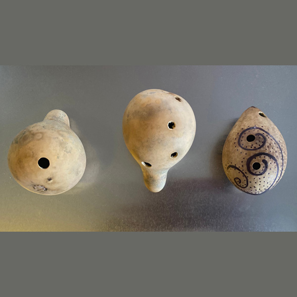 Hokiokio Workshop - Maui Nui Botanical Gardens