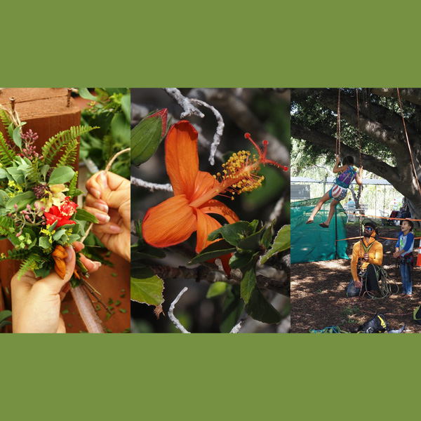 22nd Annual Arbor Day Garden Expo Nov 2025