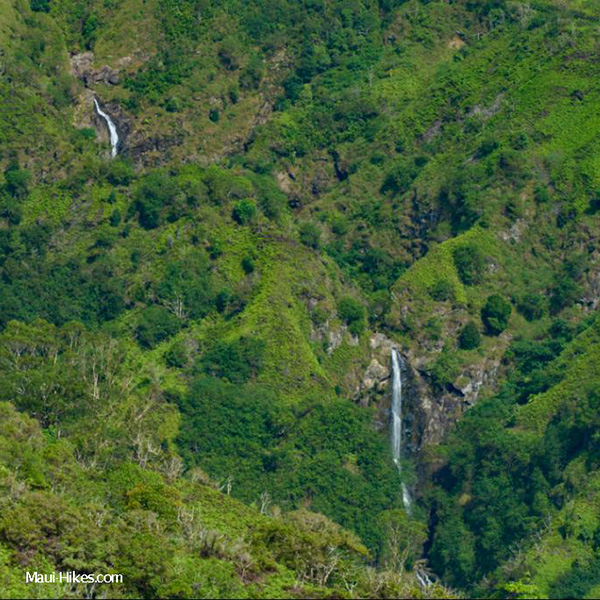 Waihee Ridge Trail Hike - Sierra Club Maui Hikes Nov 2025