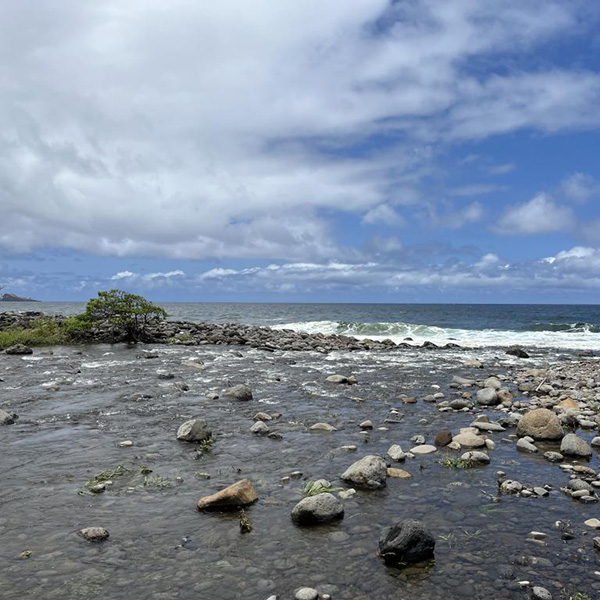 Waihe'e Coastal Dunes and Wetlands Refuge - Sierra Club Maui Hikes