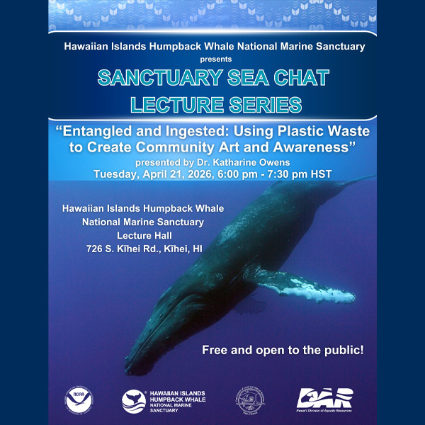 Sanctuary Sea Chat - Hawaiian Islands Humpback Whale National Marine Sanctuary