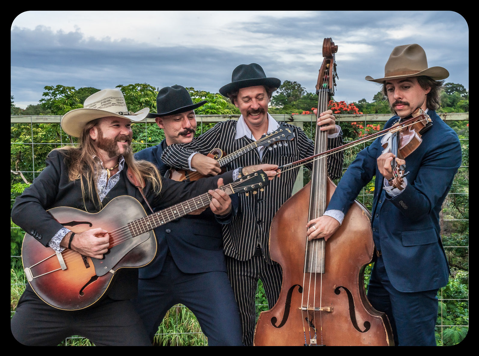 Brown Chicken Brown Cow Stringband