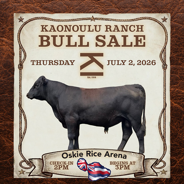 Kaonoulu Ranch Bull Sale