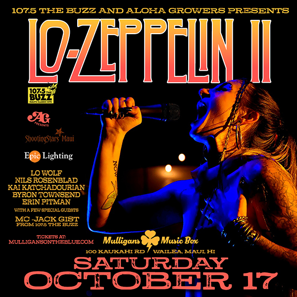 Lo Zeppelin Live at Mulligans